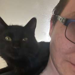 Kale's Chat & Dating Profile